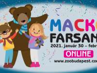 Jön a Mackófarsang online!